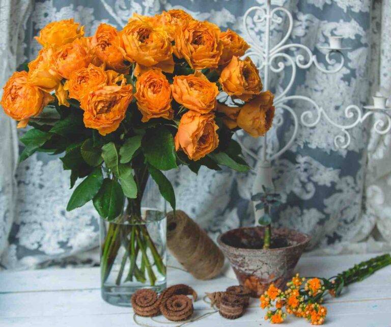 Orange Flowers